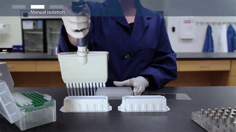 How to isolate total RNA using magnetic bead–based technology.